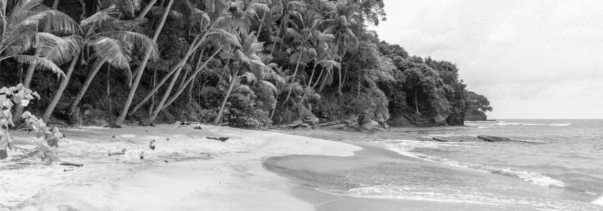 Wenige Gehminuten zum Strand