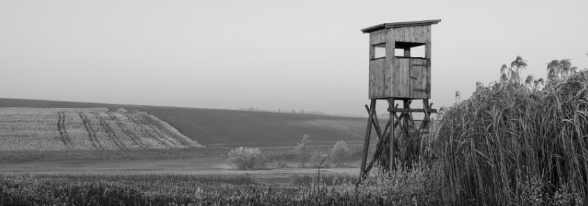 Vorsicht beim Hochsitz